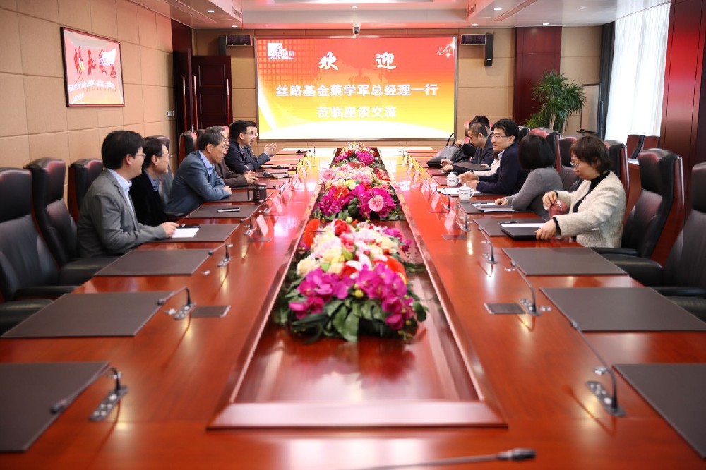 20250411-丝路基金1(封面).jpg
